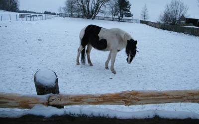 dscf2393.jpg