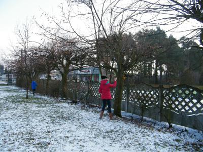 aparat_044.jpg